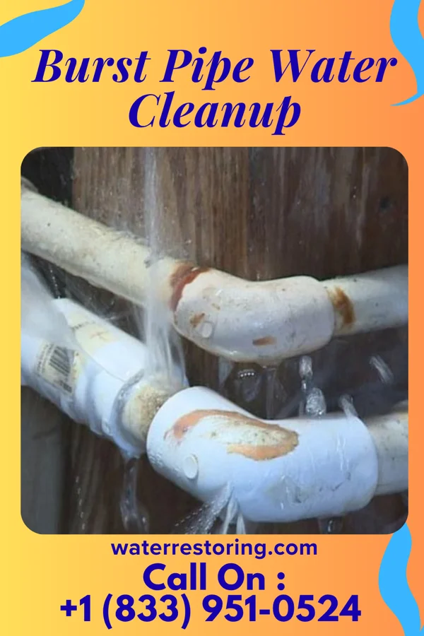 Burst Pipe Water Cleanup in Tahoka, TX
