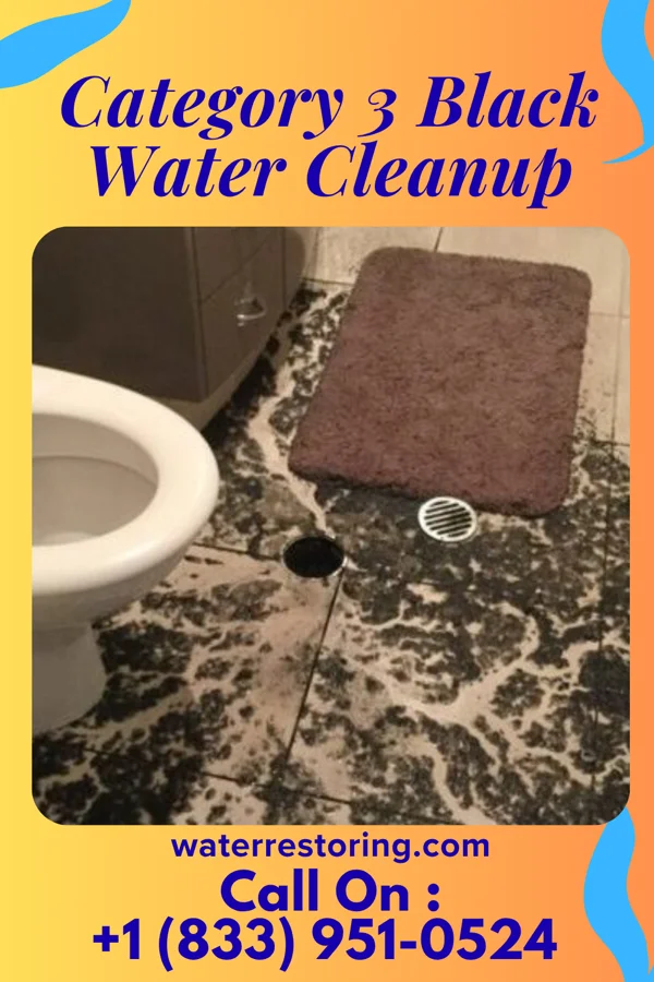 Category 3 Black Water Cleanup in Tahoka, TX